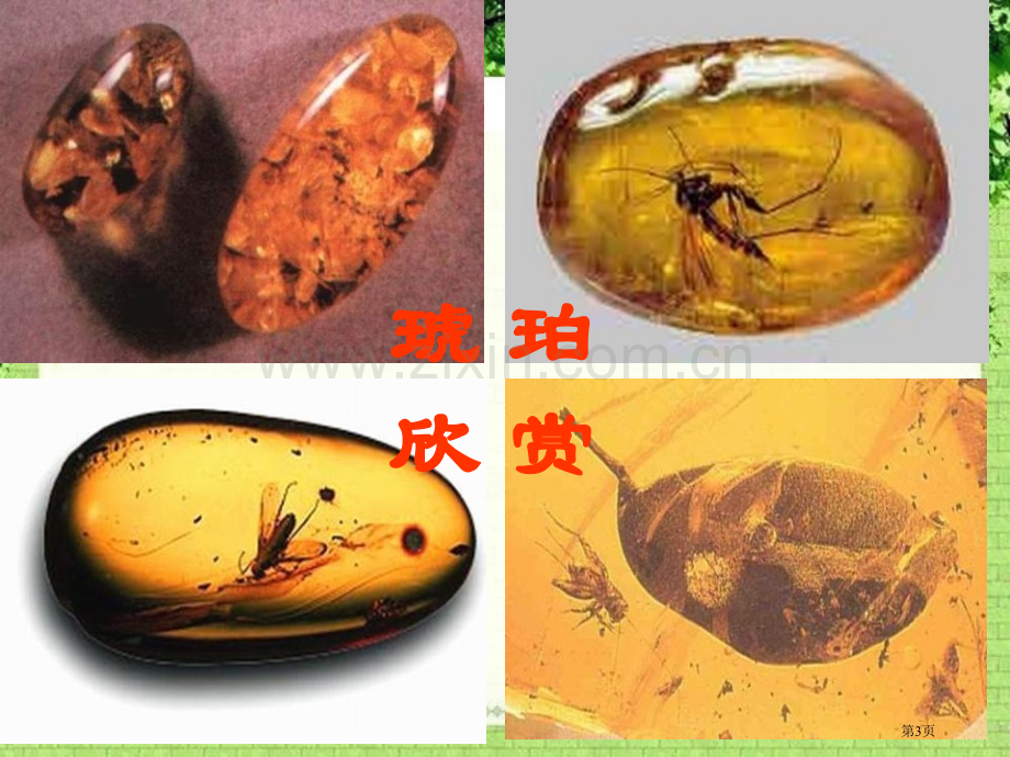 琥珀省公开课一等奖新名师优质课比赛一等奖课件.pptx_第3页