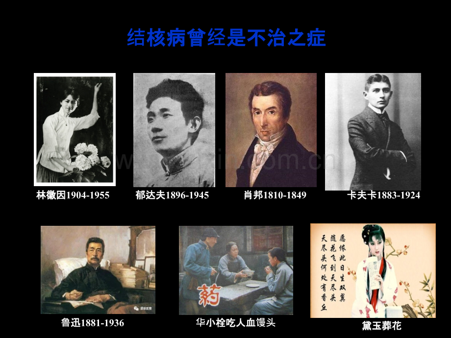 结核分类和诊断标准.ppt_第3页