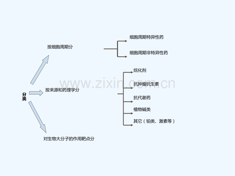 肺癌常用化疗药物介绍.ppt_第2页