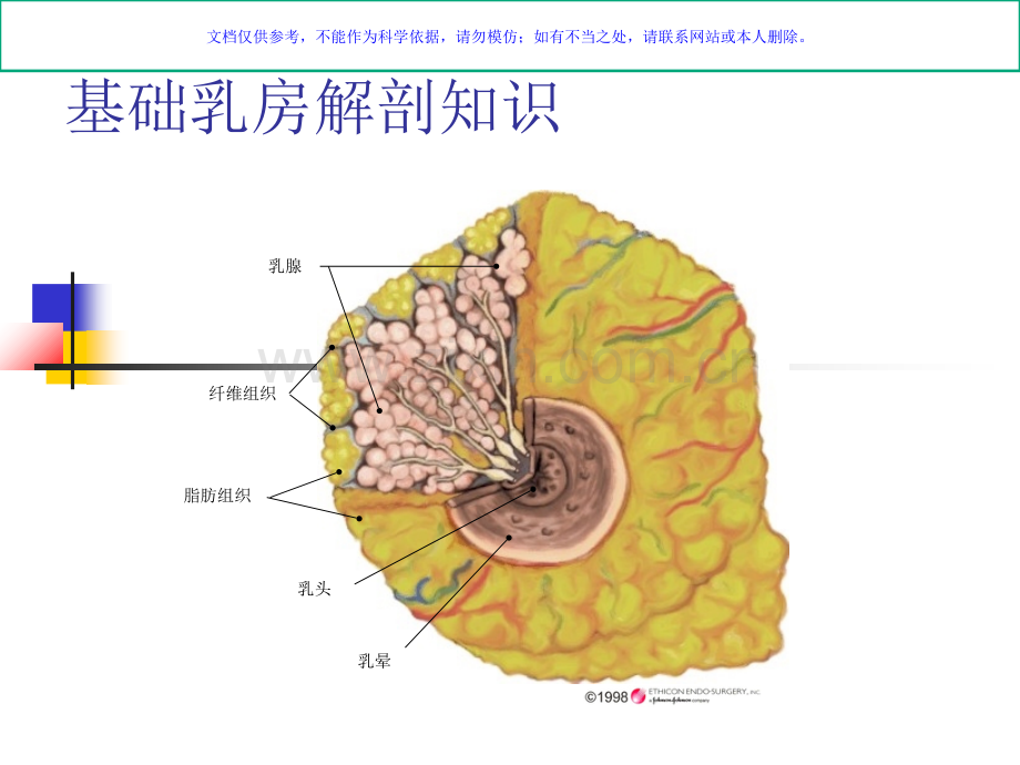 乳房保健健康教育课件.ppt_第2页