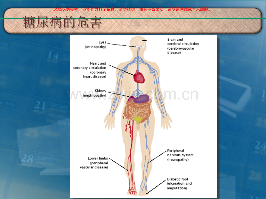 从糖尿病微血管并发症谈血糖控制重要性糖尿病肾课件.ppt_第1页