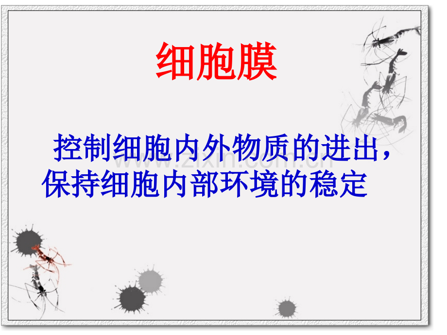 动植物细胞的结构和功能(2)专题培训课件.ppt_第3页