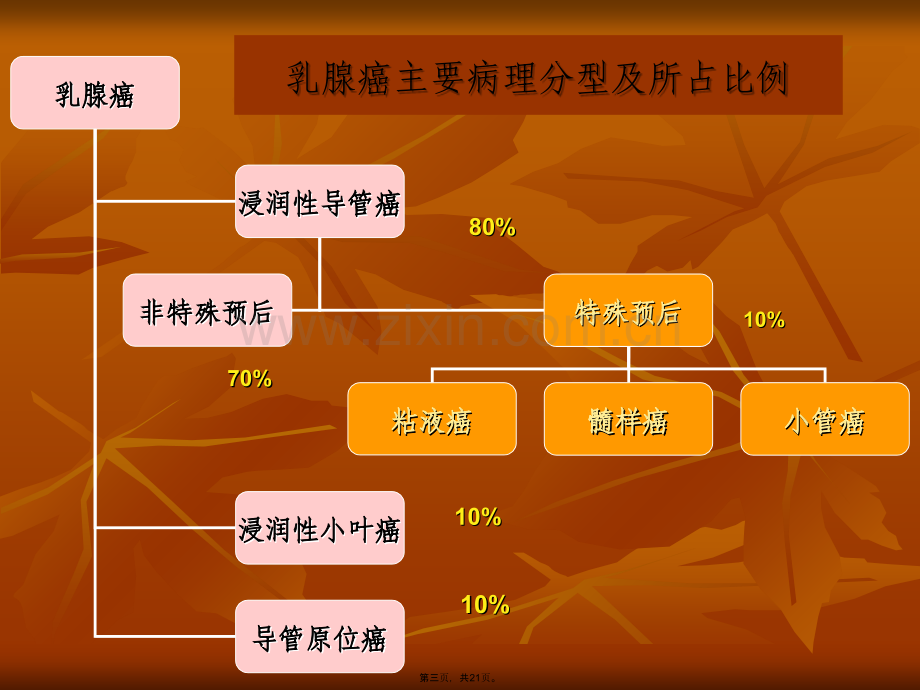 乳腺疾病超声诊断要点李晶2011副本.ppt_第3页