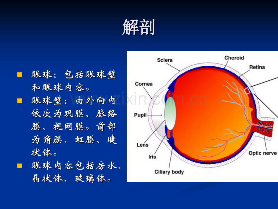 PPT医学课件视网膜母细胞瘤影像学表现讲义.ppt_第1页