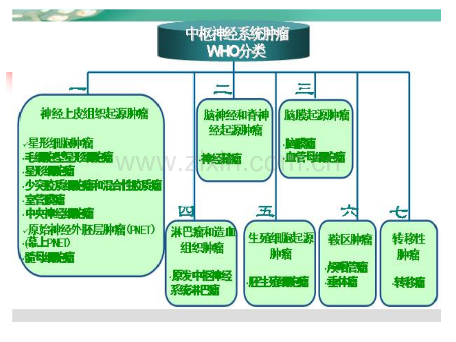 医学中枢神经系统肿瘤的WHO分类和影像学表现PPT培训课件.ppt_第3页