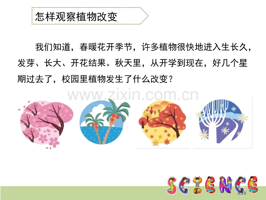 植物发生了什么变化植物省公开课一等奖新名师优质课比赛一等奖课件.pptx_第3页