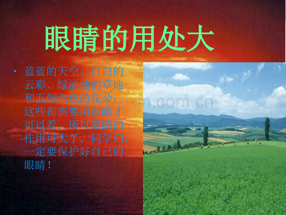 保护眼睛-预防近视课件.ppt_第3页