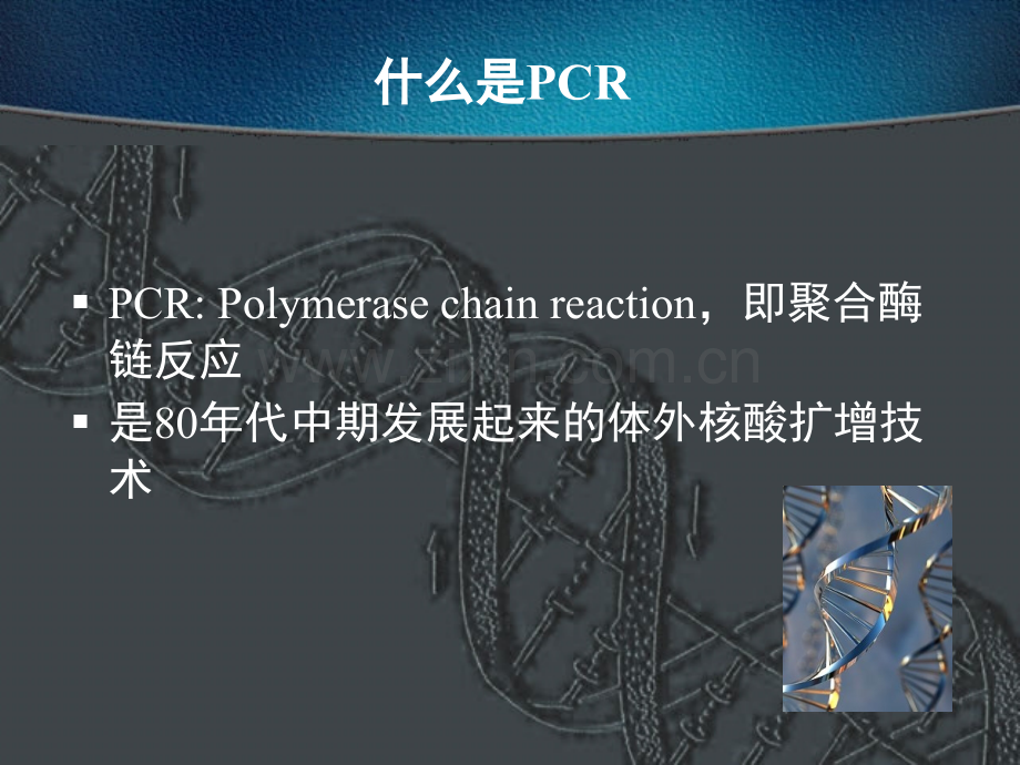 PCR技术的原理操作及应用-医学课件.ppt_第1页