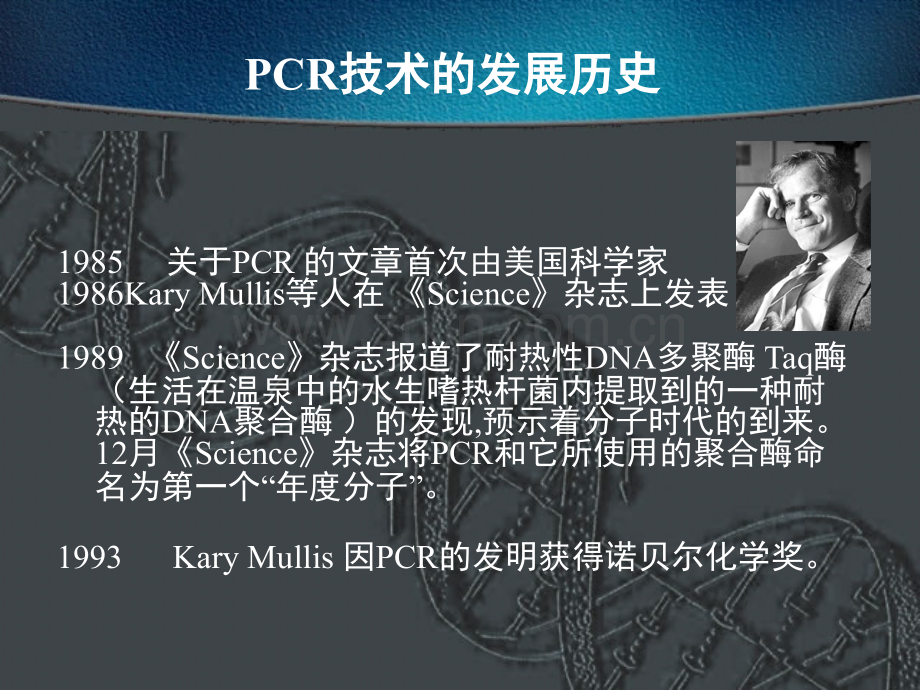 PCR技术的原理操作及应用-医学课件.ppt_第2页