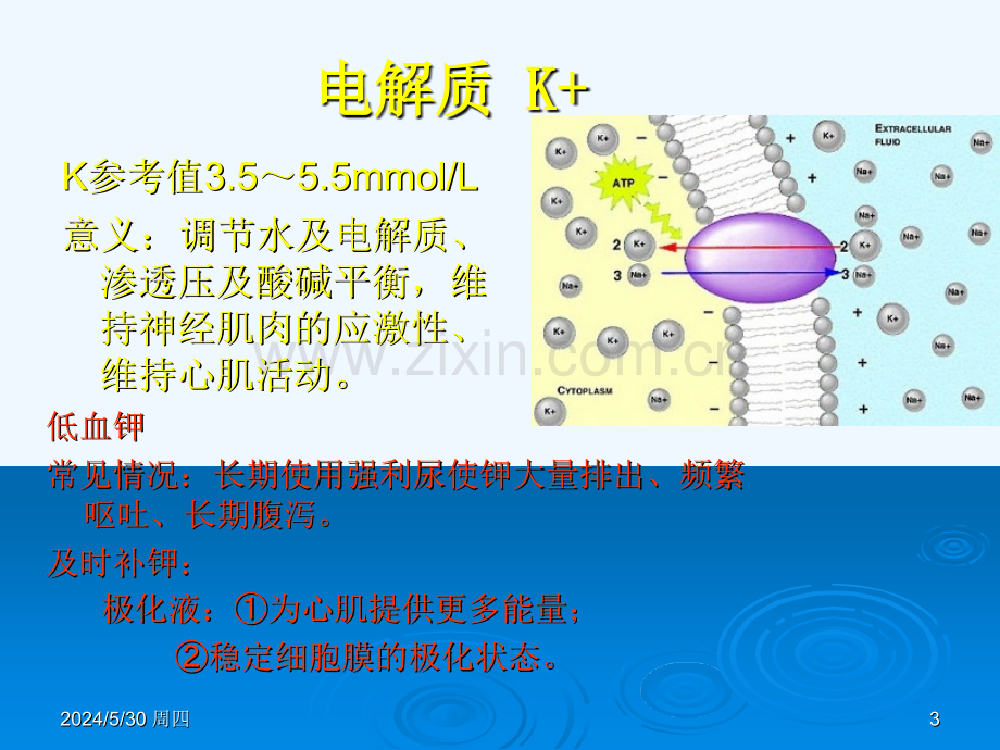 心内科常见检查与其意义.ppt_第3页