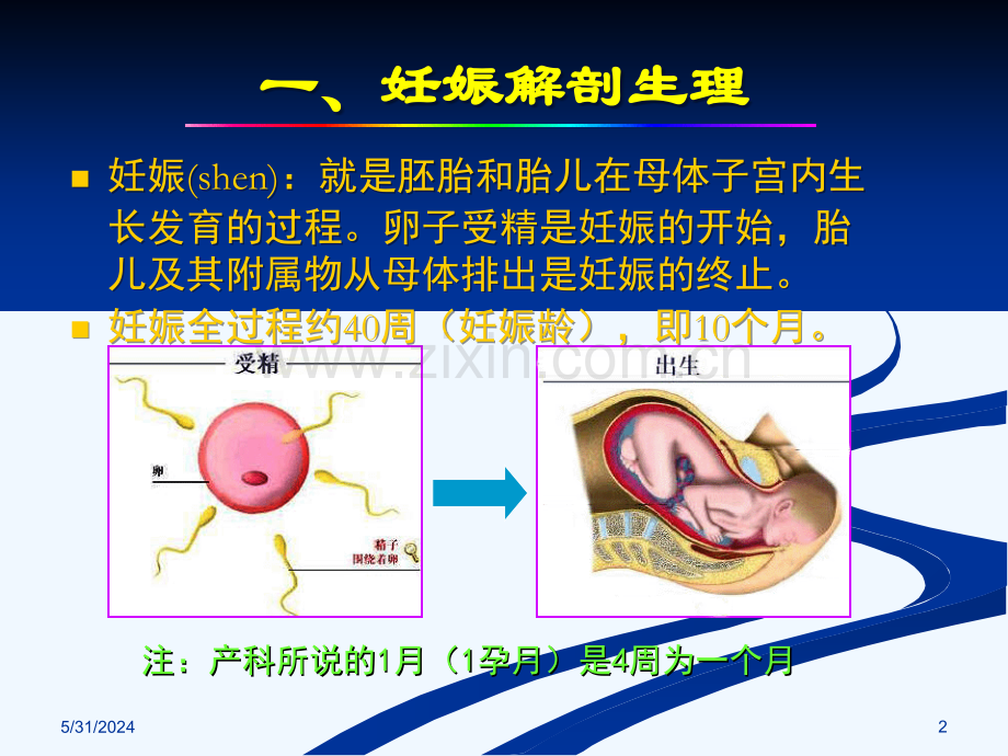 产科正常超声检查及诊断.ppt_第2页