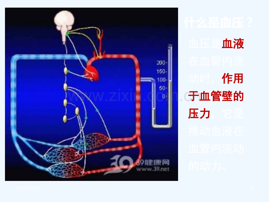 高血压和饮食.ppt_第2页