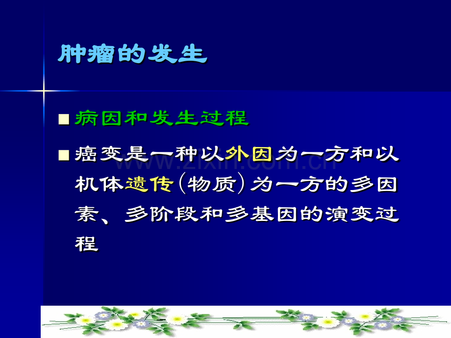 中医药防治恶性肿瘤的新进展-医学课件.ppt_第3页