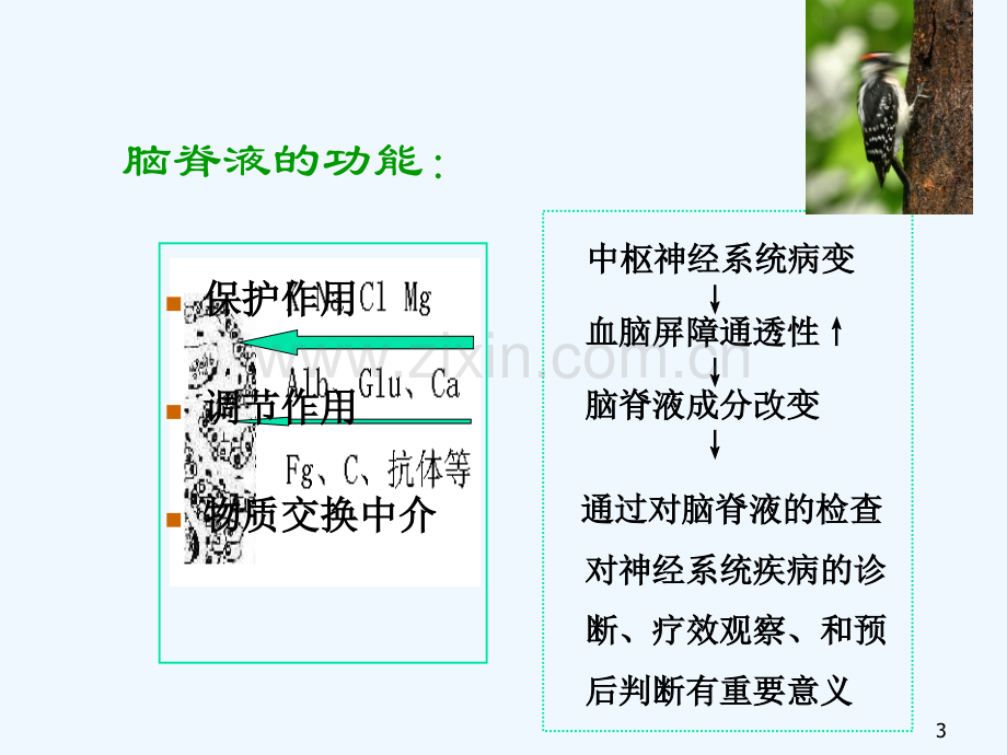 诊断学脑脊液及浆膜腔积液检查胡昕.pptx_第3页