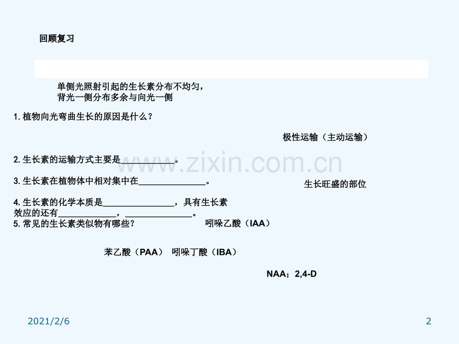 其他植物激素(优质课).ppt_第2页