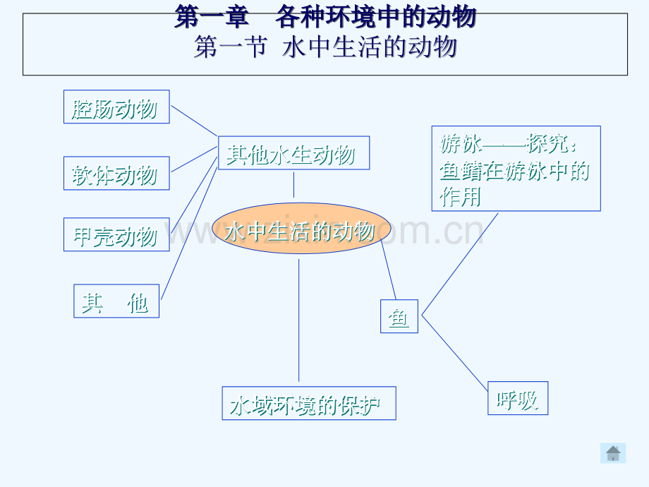 八年级生物总复习上册.ppt_第2页