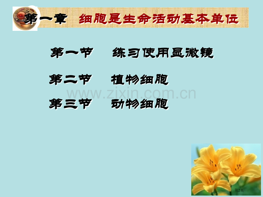 细胞是生命活动的基本单位复习课省公共课一等奖全国赛课获奖课件.pptx_第2页