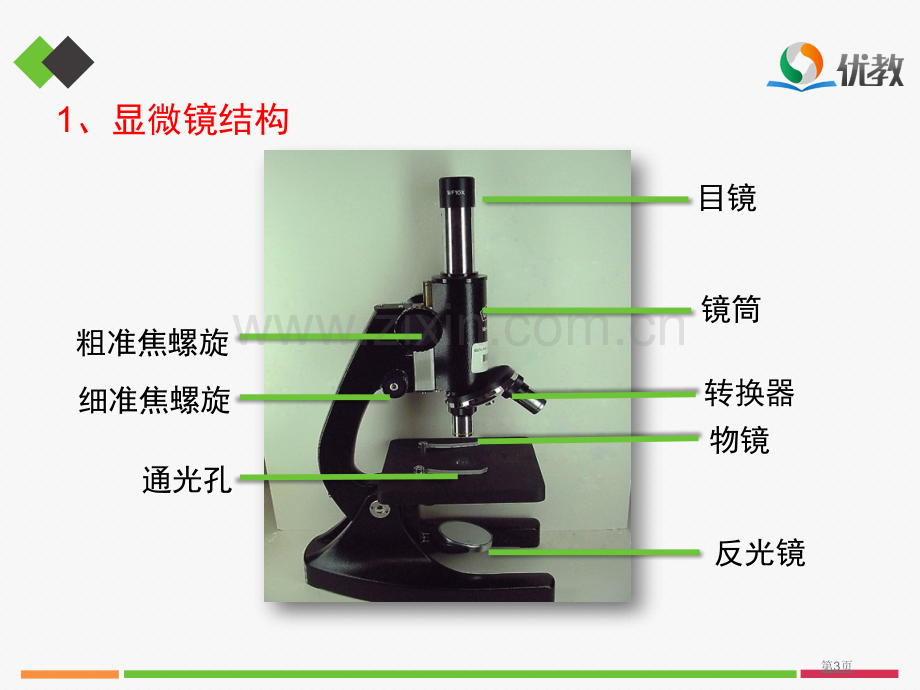 细胞是生命活动的基本单位复习市公开课一等奖百校联赛获奖课件.pptx_第3页