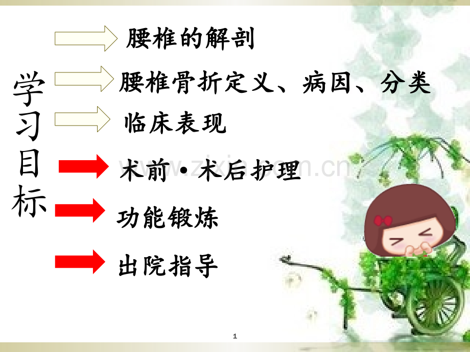 PPT医学课件腰椎骨折病人的护理讲义.ppt_第1页