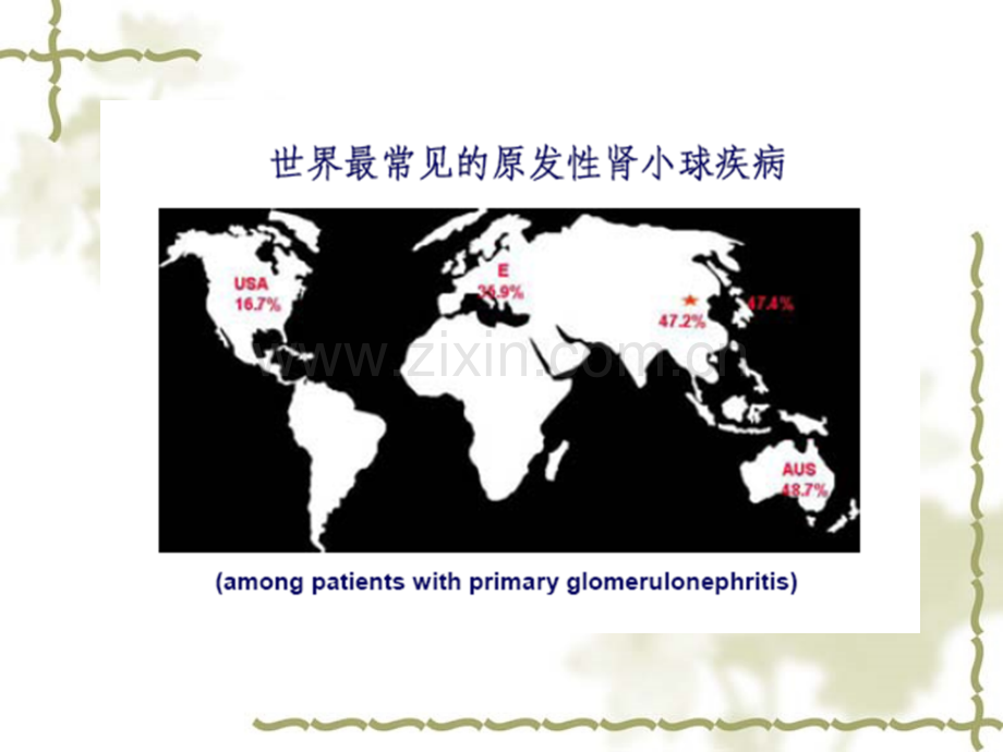 IgA肾病指南解读-医学课件.ppt_第2页