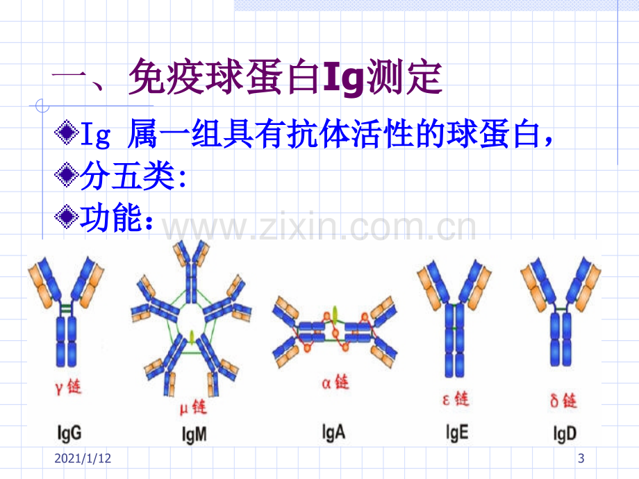 临床本科10常用免疫学检查.ppt_第3页