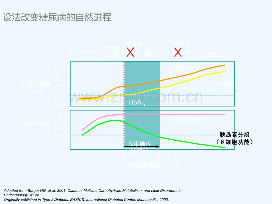 糖尿病的诊断、分类和预防.ppt_第2页