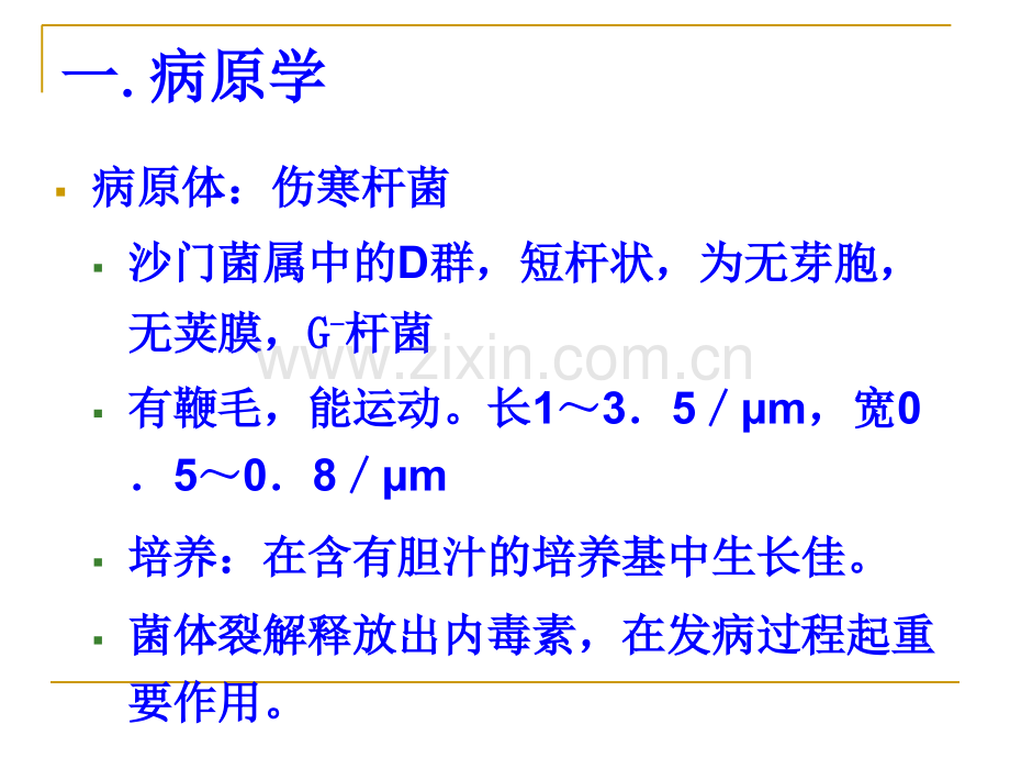 伤寒培训ppt培训课件.ppt_第3页