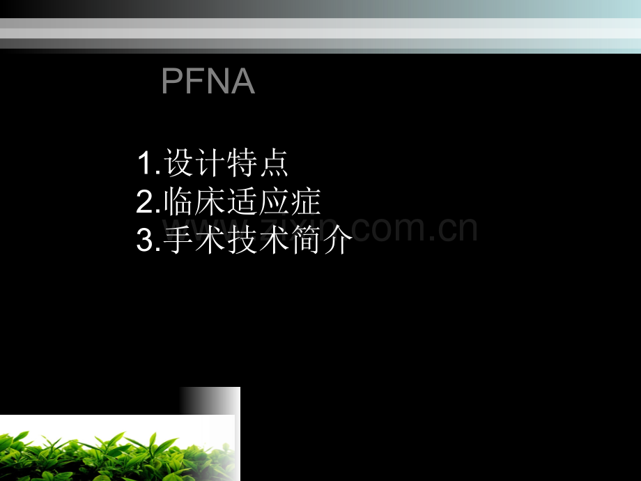 股骨粗隆间骨折PFNA.ppt_第3页