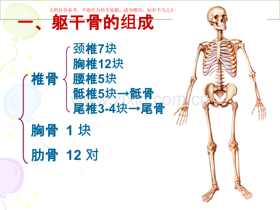 中轴骨专题培训培训课件.ppt_第2页