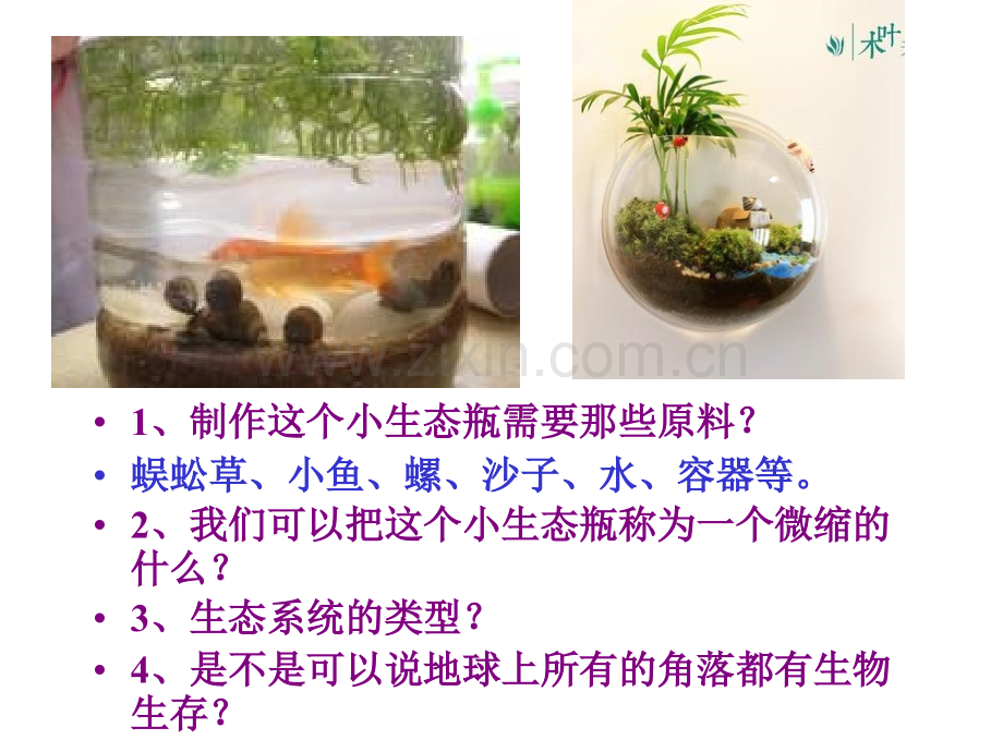 初一生物生物圈是最大生态系统.ppt_第2页