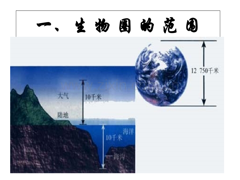 初一生物生物圈是最大生态系统.ppt_第3页