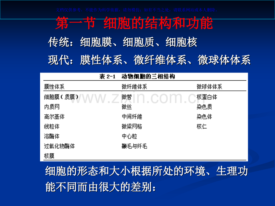 人体解剖生理学细胞和基本组织课件.ppt_第3页