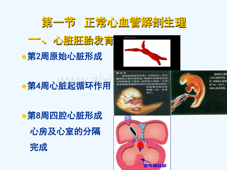 儿科学-先天性心脏病课件.ppt_第3页