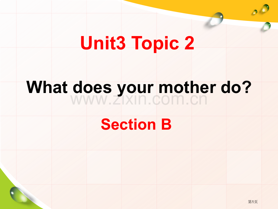 What-does-your-mother-doSectionB-.pptx_第1页