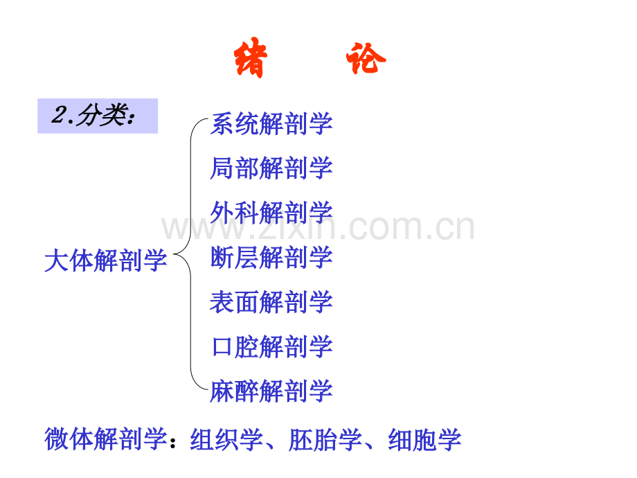 解剖学总论和骨学-人体解剖学课件.ppt_第3页