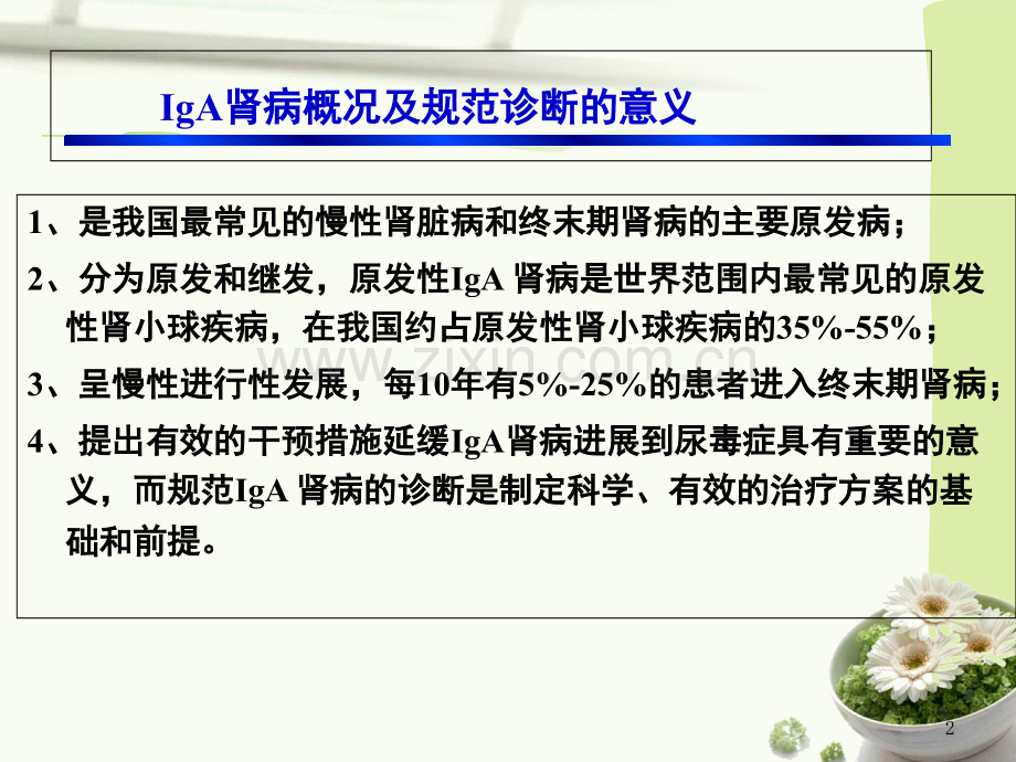 IA肾病中医辨证分型的实践指南优质PPT课件.ppt_第2页