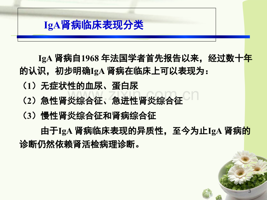 IA肾病中医辨证分型的实践指南优质PPT课件.ppt_第3页