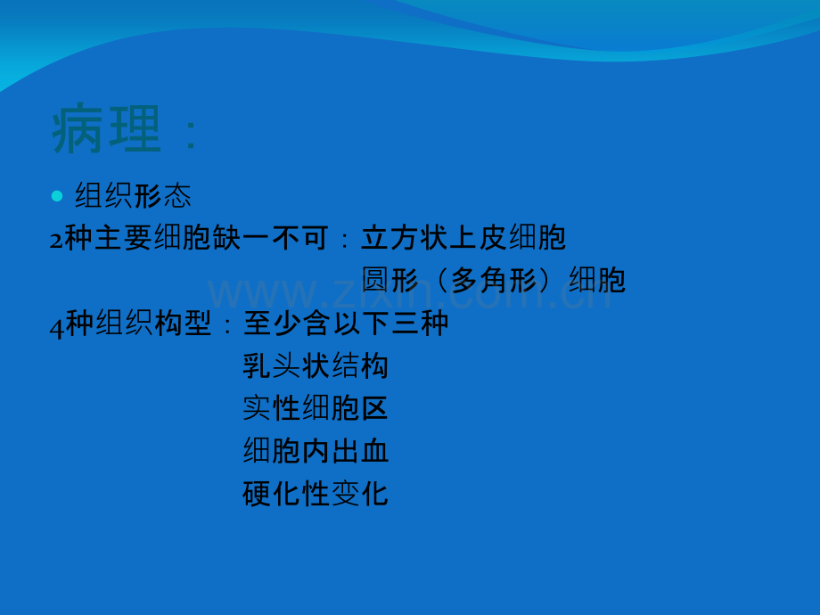 PPT医学课件肺硬化性血管瘤CT诊断讲义.ppt_第3页