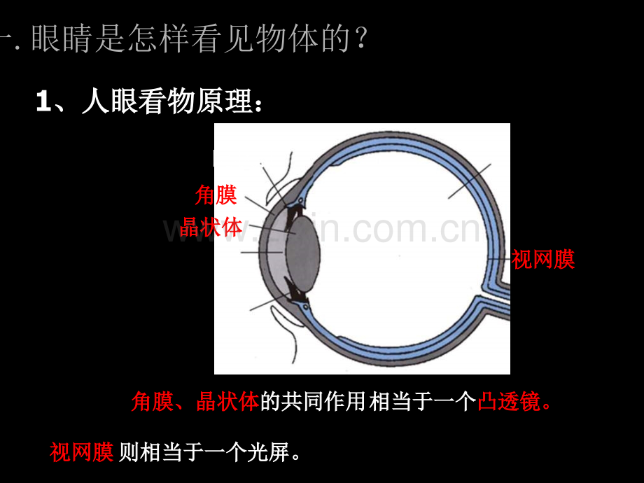 眼睛与光学仪器.ppt_第2页