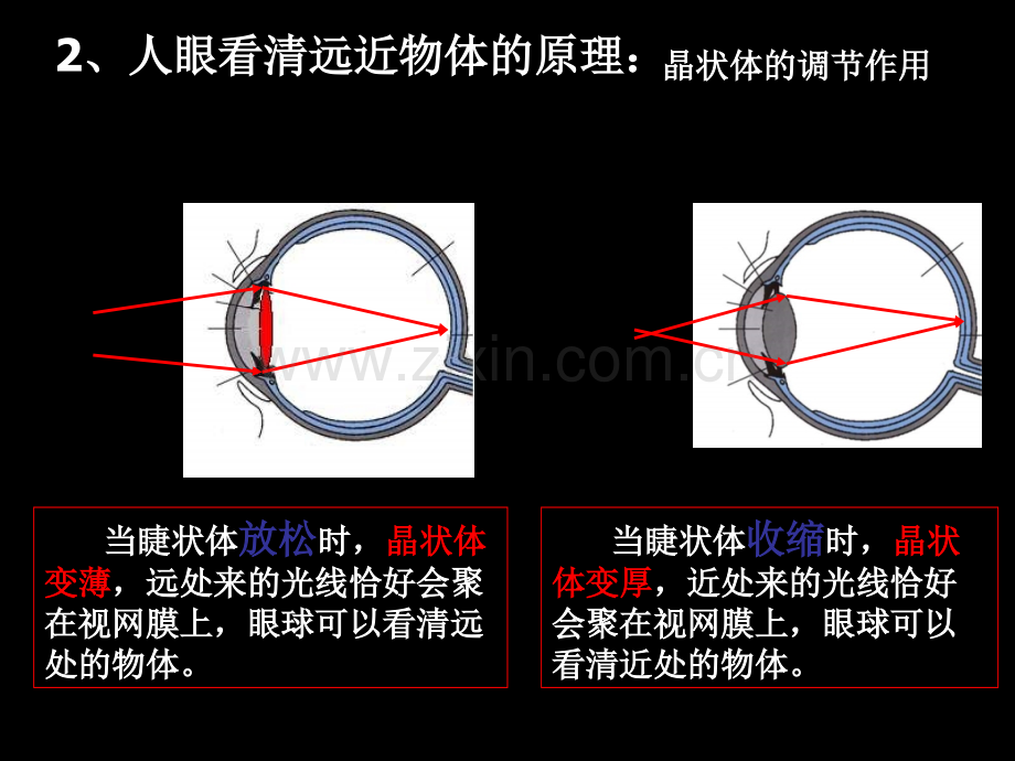 眼睛与光学仪器.ppt_第3页