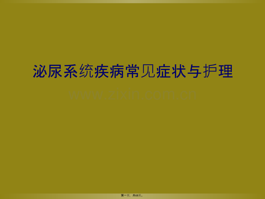 泌尿系统疾病常见症状与护理.ppt_第2页