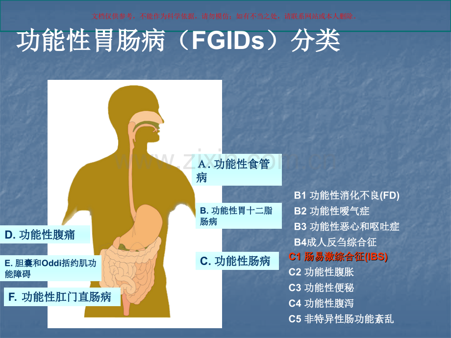 功能性消化不良课件.ppt_第2页