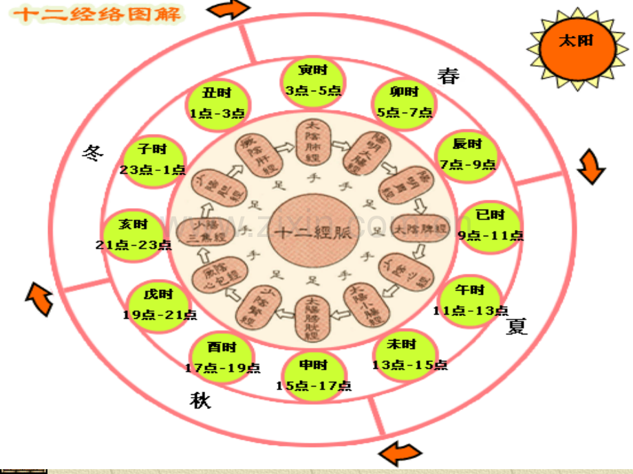 中医养生五行专题宣讲-医学课件.ppt_第2页