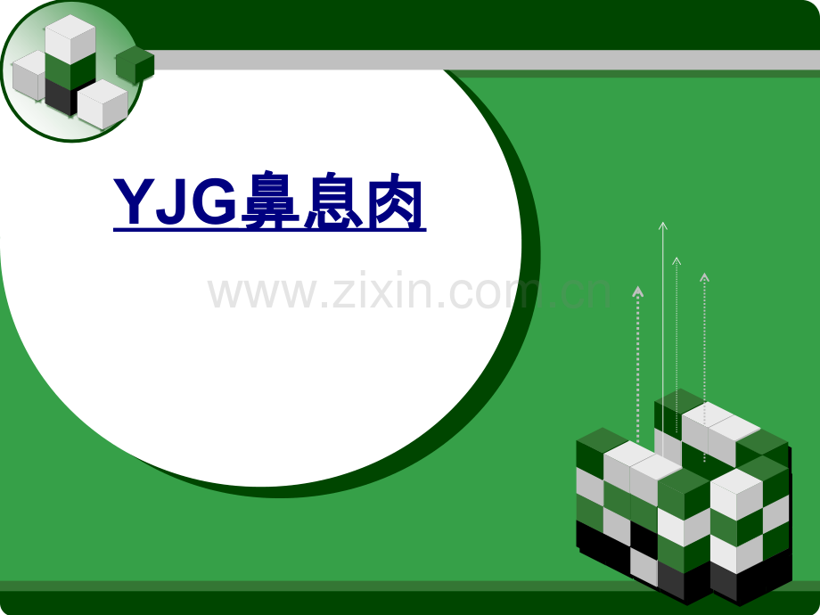 YJG鼻息肉优质PPT课件.ppt_第1页