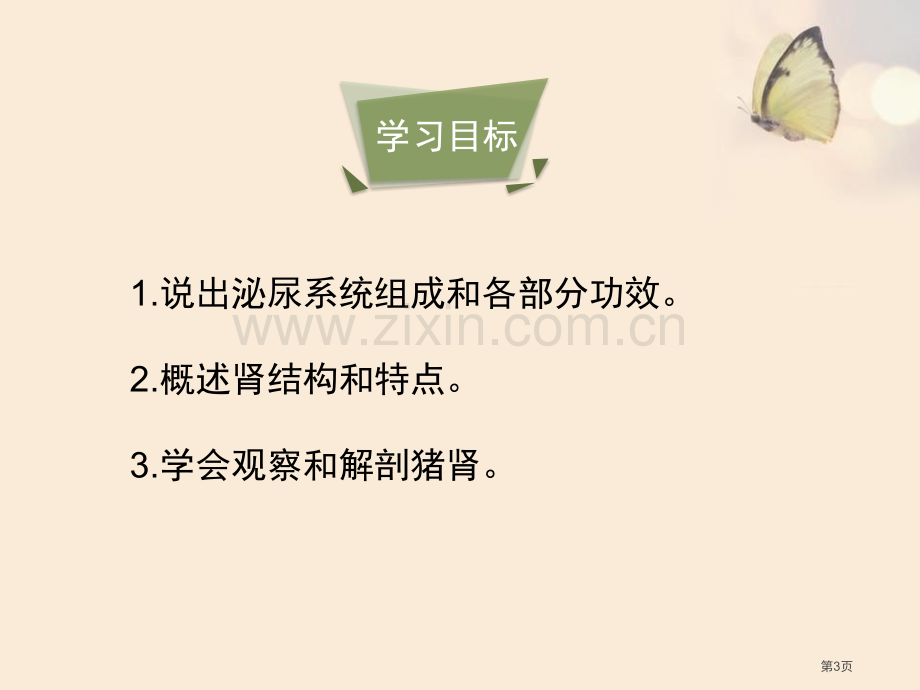 人体泌尿系统的组成课件省公开课一等奖新名师优质课比赛一等奖课件.pptx_第3页