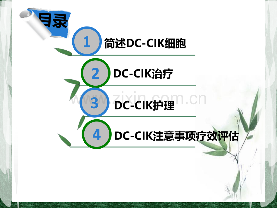 DCCIK生物免疫治疗技术-医学课件.ppt_第2页