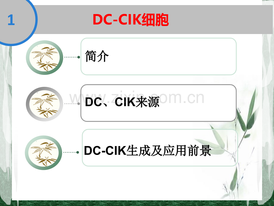 DCCIK生物免疫治疗技术-医学课件.ppt_第3页