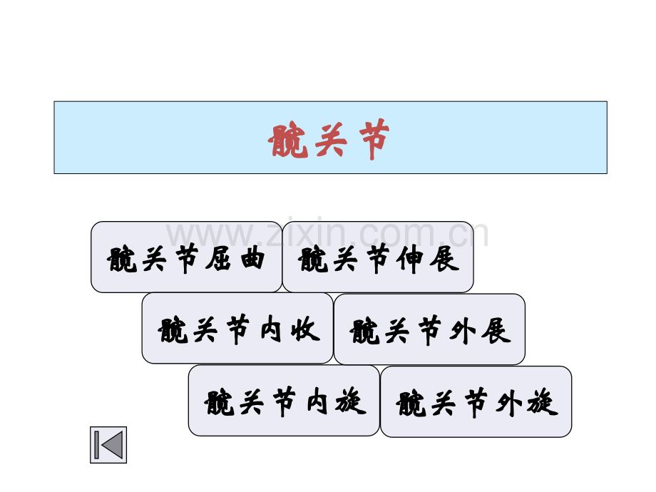 下肢肌力评定专题宣讲-医学课件.ppt_第1页