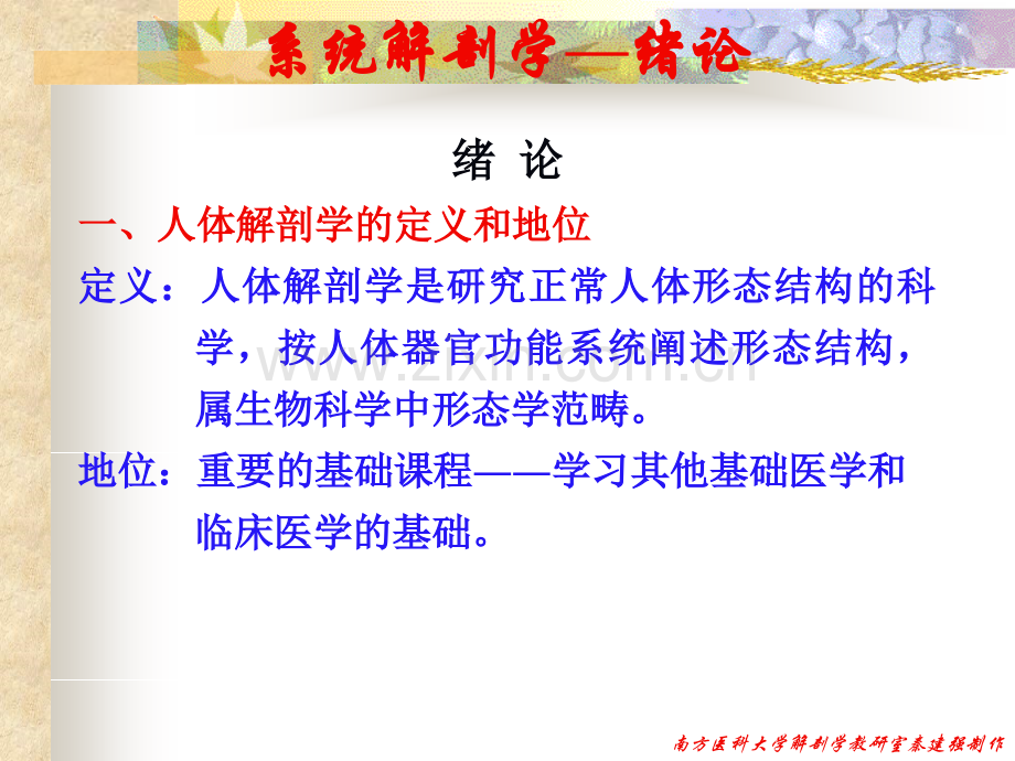 PPT医学课件解剖学之骨学讲义.ppt_第1页