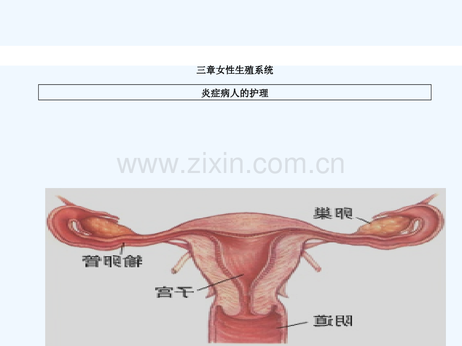 女性生殖系统炎症病人护理课件.ppt_第2页